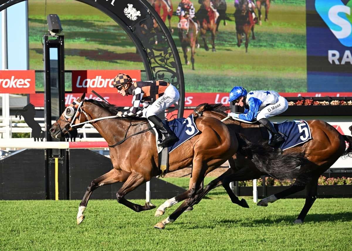 Sydney raid sets up clash between Maher brothers